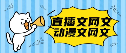 郴州網絡文化經營許可證辦理全攻略 條件、流程與注意事項